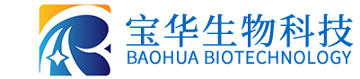 玩球官方网站